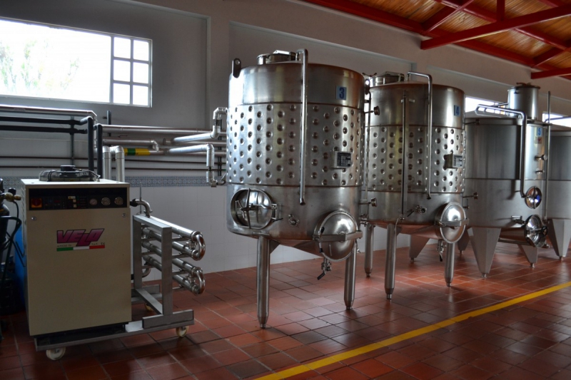 cave-TANNERON-min_wine_production_cantine_winery_drink_alcohol_vine_beverage-902036